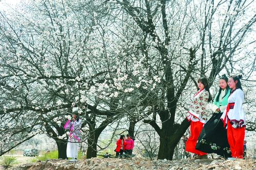北京国安比赛直播 工体现场